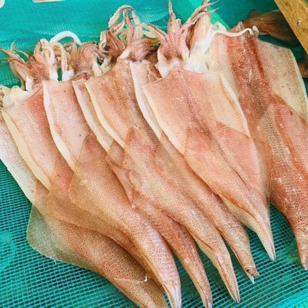Mực Lá 1 nắng